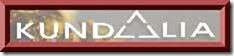 Kundalia Exports logo