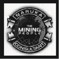 Naruka Consultant logo