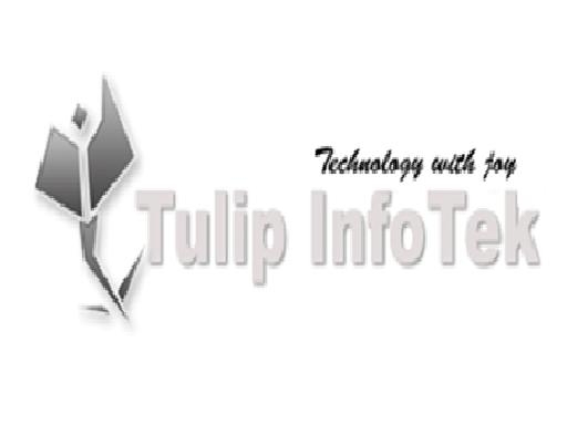 Tulip InfoTek logo