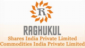 Raghukul Shares India Pvt Ltd logo