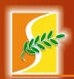 Shakambari Food Products logo