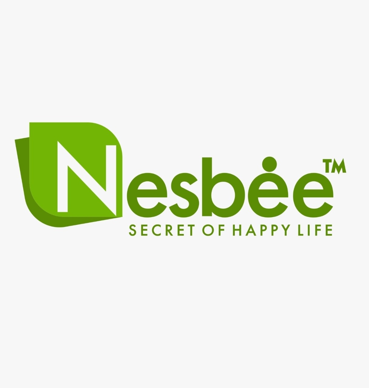 Nesbee Spices & Foods Pvt. Ltd. logo