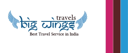 Big Wings Tours And Travels logo