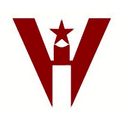 Virgos International logo