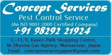 Concept Services logo