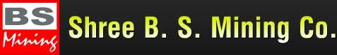 Shree BS Mining Co logo